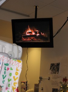 Rudy's view of the "yule log"