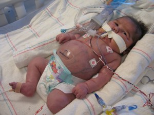 Diet?  Who needs a diet?