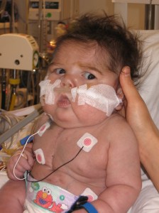 1-28-2009 - 17 Weeks