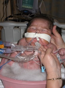 Seriously!  Rudy fell asleep during today's bath!!!