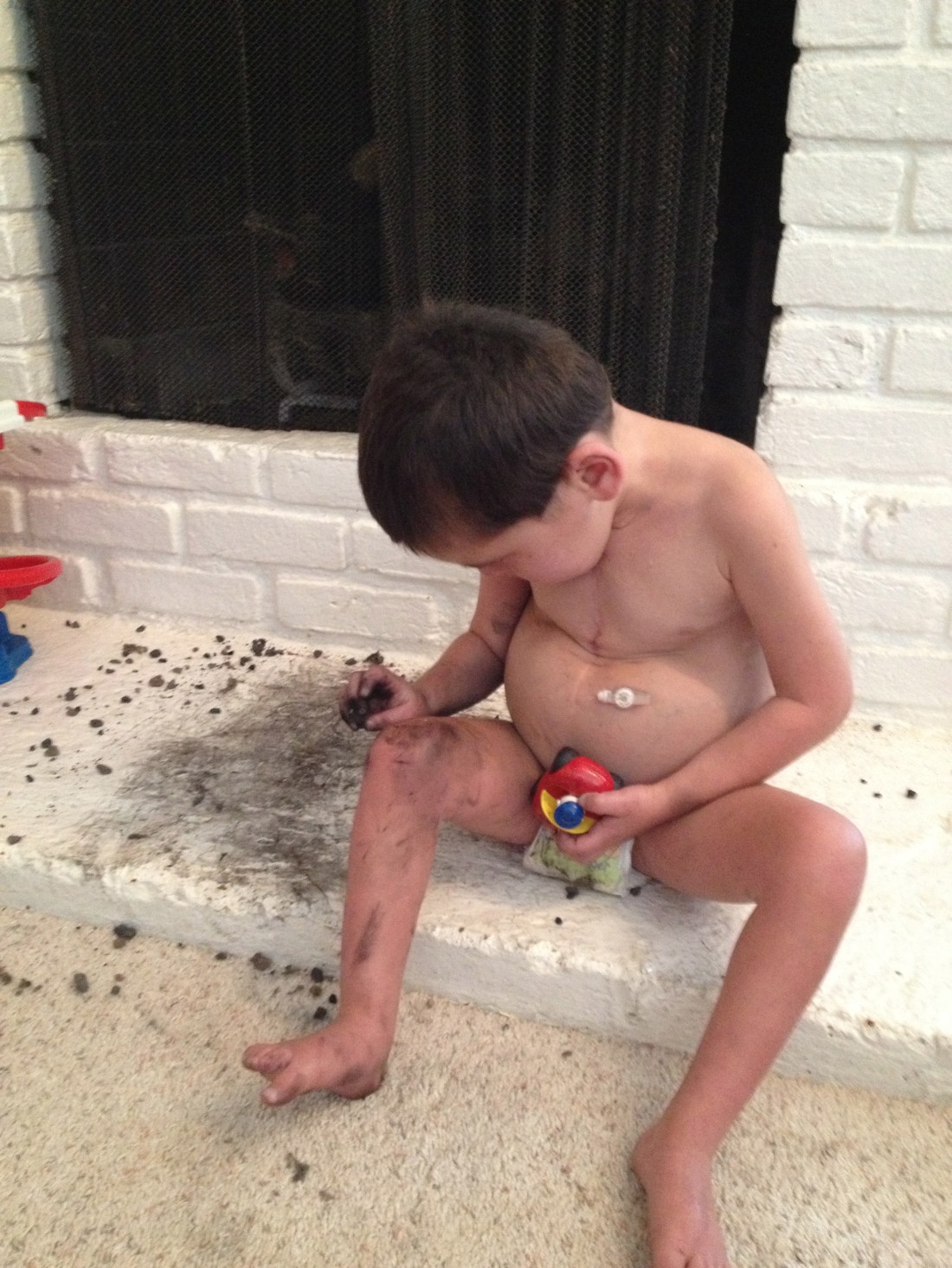 Rudy was NOT a good boy at home today...he discovered fireplace soot!