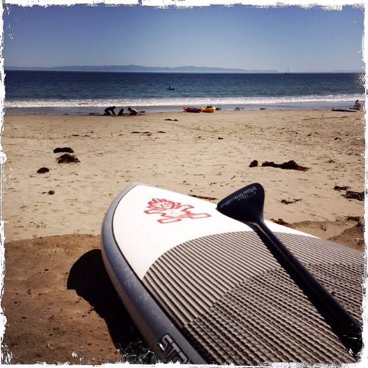 Rolf's back out! copy