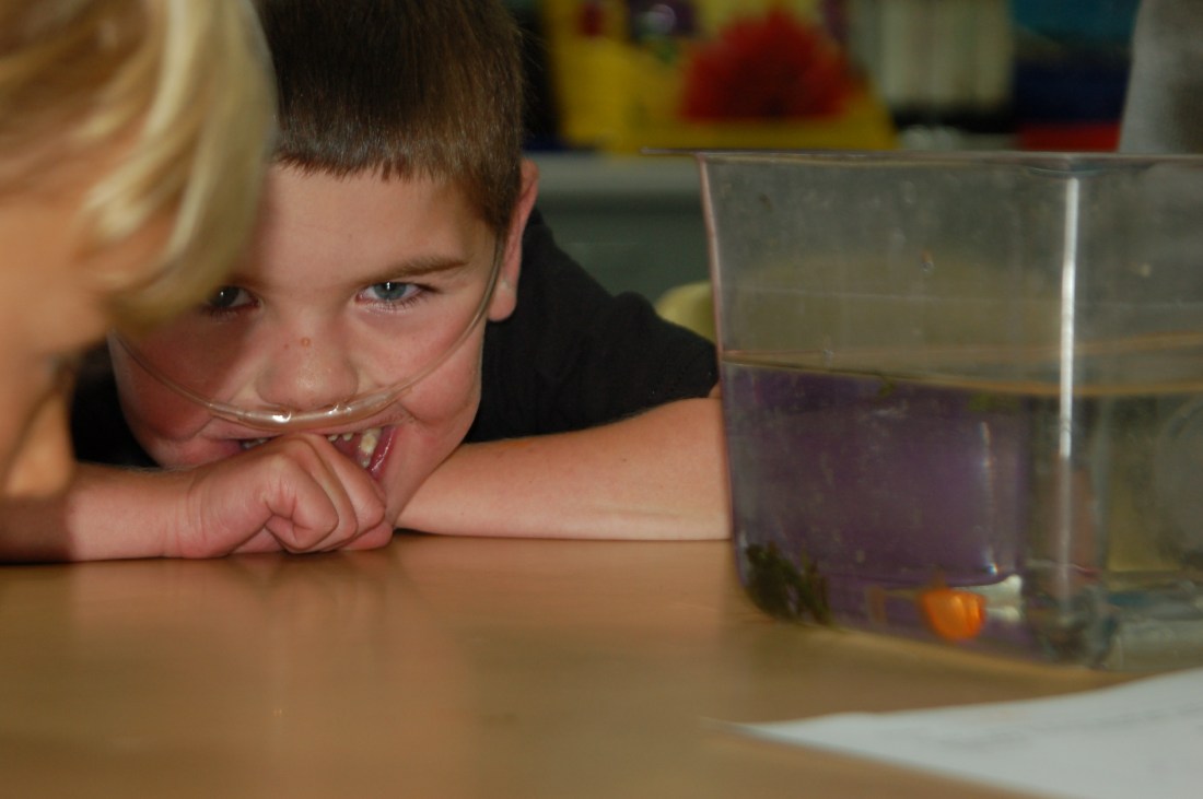 Rudy's Kindergarten teacher Mr. Casady captured this little treasure during science class a couple of weeks ago.  :)