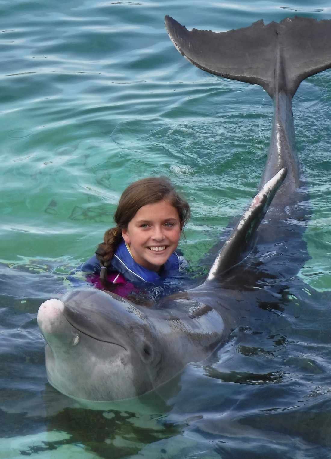Bucket List Dolphin Swim?  Check!