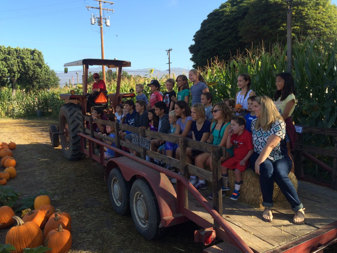 The hay ride is always a highlight...
